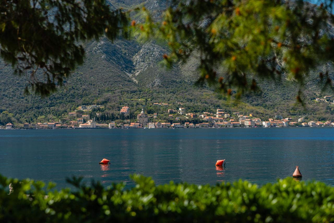 Apartments Miramar Kotor Luaran gambar