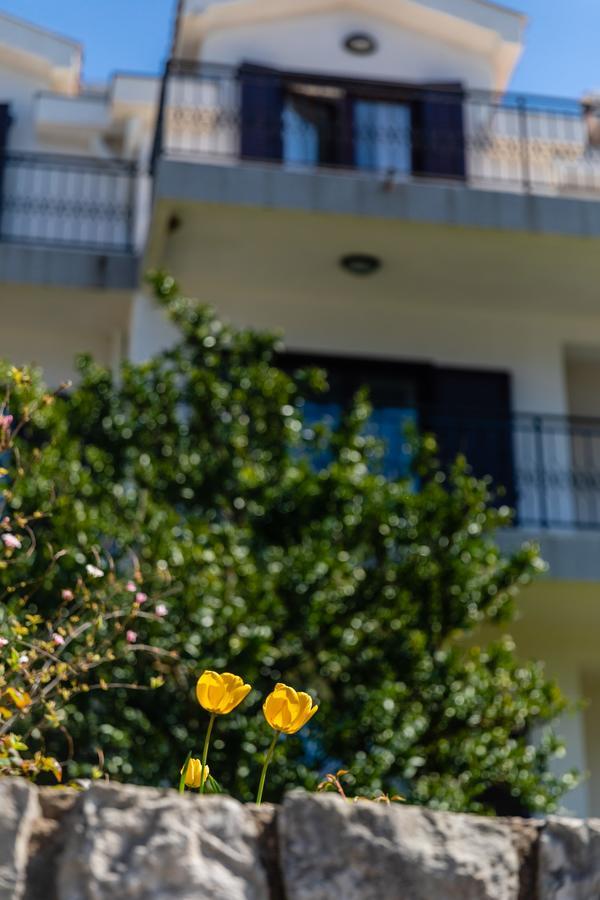 Apartments Miramar Kotor Luaran gambar